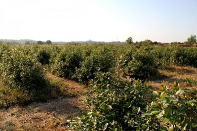 img-03241