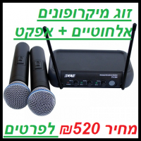 זוג מיקרופונים אלחוטיים + אפקט FV-304 Echo
